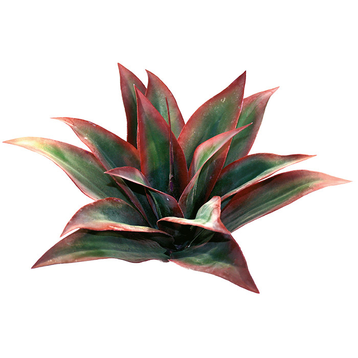 Ein Hauch von Wüste: Dragon Kunstpflanze Agave Rot - 45 cm