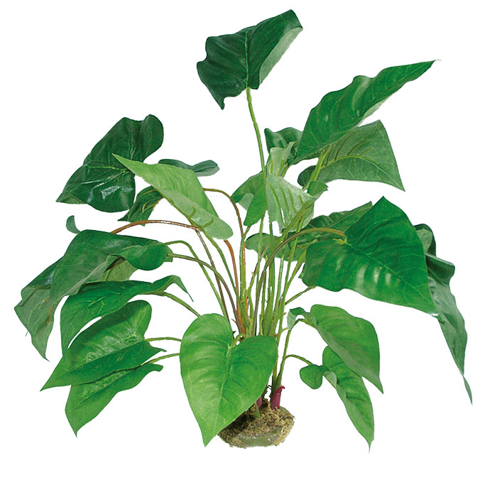 Dragon Anthurium Kunstpflanze - Ideal für Schattenliebende Terrarium-Tiere - 45cm