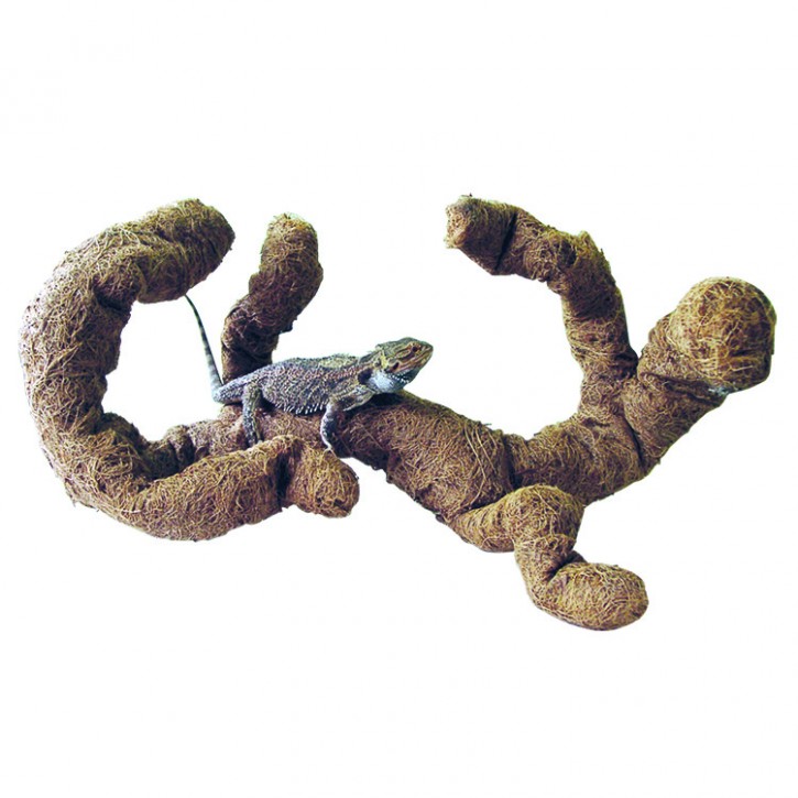Dragon Coco Tronchos biegbarer Terrarium Kokosast ca. 120 cm