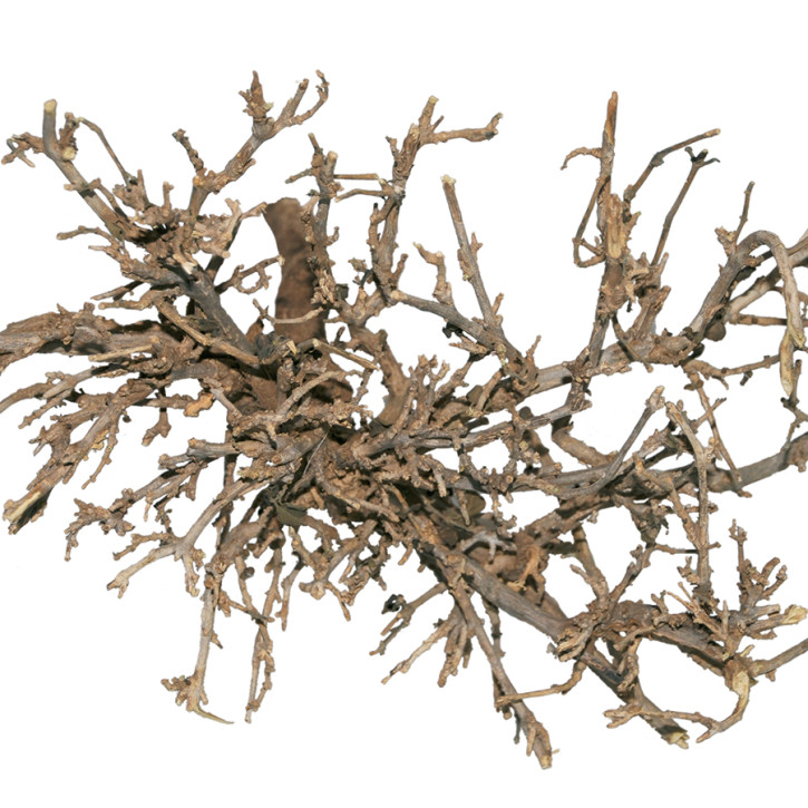 Dragon Outback Busch – Dekoration für Wüstenterrarien