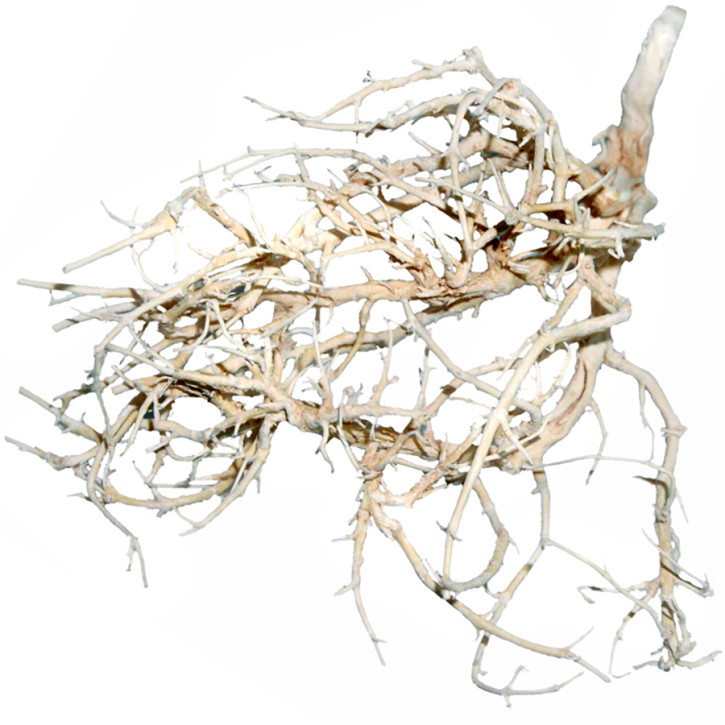 Dragon Outback Busch – Naturnahe Wüstendekoration für Terrarien - Ghost