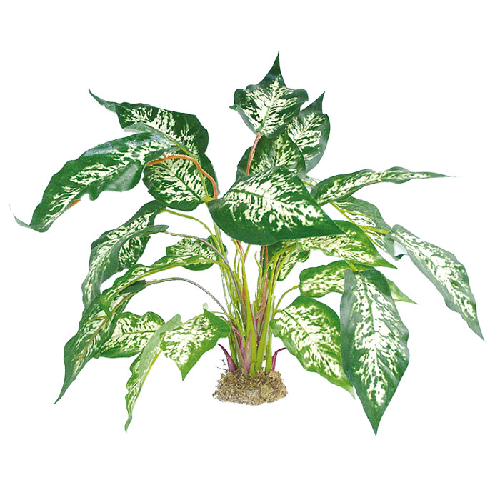 Dragon Dieffenbachia Kunstpflanze: Naturnahes Terrarium Highlight  mit Moosfuß - 45 cm