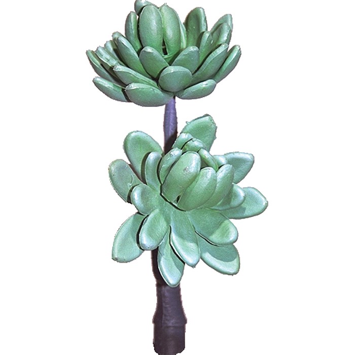 Dragon Terrarium Kunstpflanze Echeveria Grün Sukkulente 17 cm