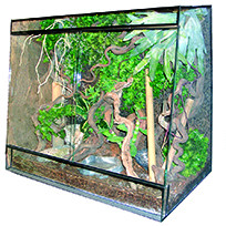 Hochwertiges Schrägterrarium Terrarium BTH 60 × 40 × 60 cm