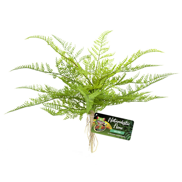 Zoo Med Naturalistic Flora Lace Fern – Elegante Spitzenfarn für Terrarien - 20cm