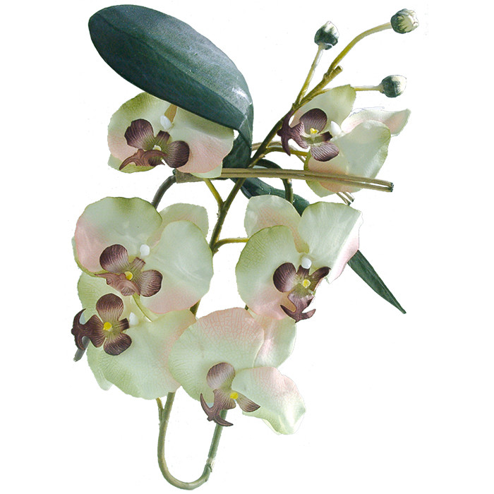 Terrarien-Kunstpflanze - Dragon Orchideenzweig mit Creme-weißen Blüten - 80 cm