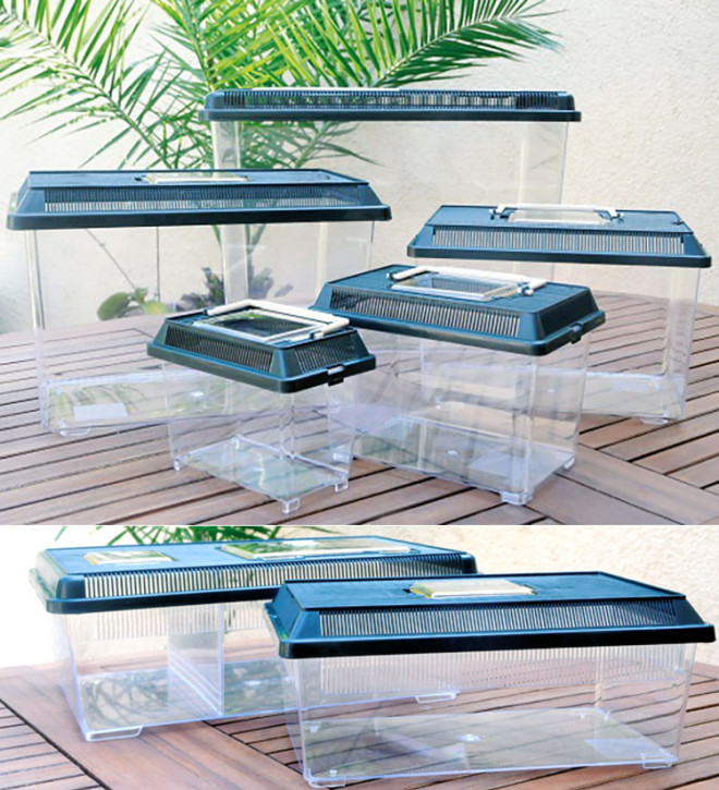 Pet-Plaza Faunabox ca. 23,0x15,0x16,0 cm, 5,5 l für Reptilien & Insekten