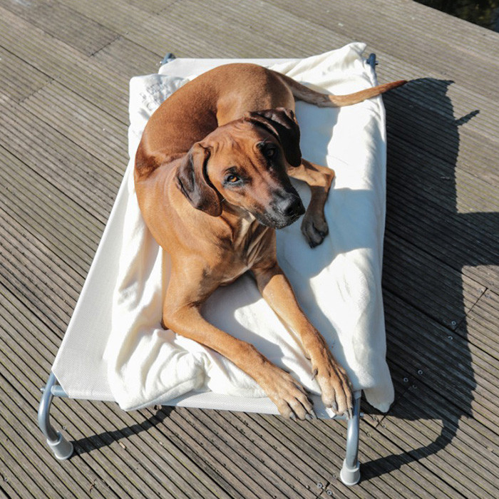 CANIS VERDE Outdoor Hundebett - Atmungsaktives Hundefeldbett für Komfort im Freien