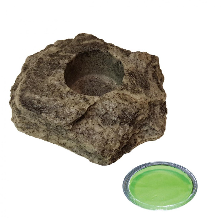 4 x 16 g Dragon Jelly Food green melon + Felsenschale Granite