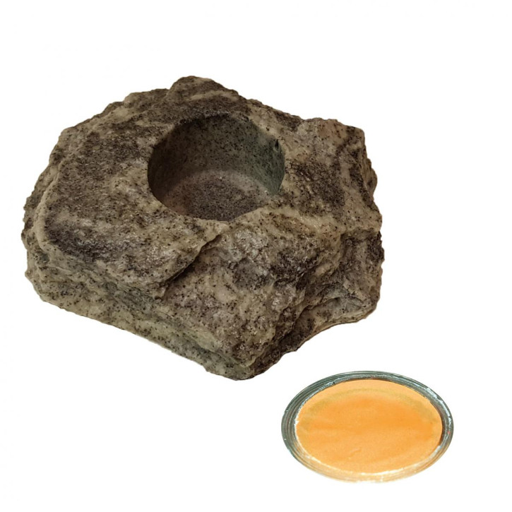 20 x 16 g Dragon Jelly Food orange pineapple + Felsenschale Granite