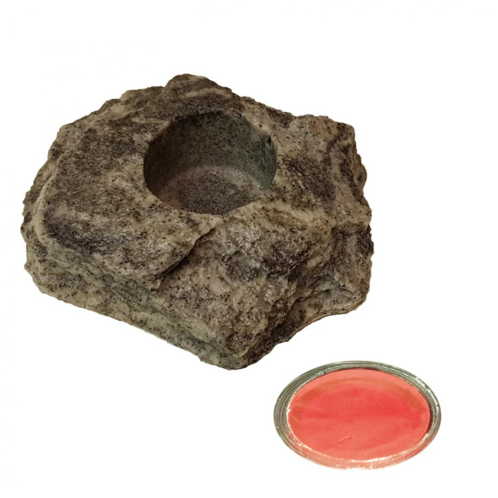 20 x 16 g Dragon Jelly Food red strawberry + Felsenschale Granite