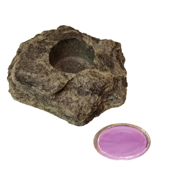 50 x 16 g Dragon Jelly Food violet grape + Felsenschale Granite