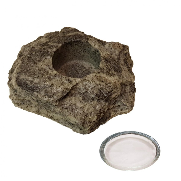 4 x 16 g Dragon Jelly Food white protein + Felsenschale Granite