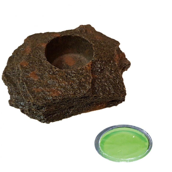 20 x 16 g Dragon Jelly Food green melon + Felsenschale Lava