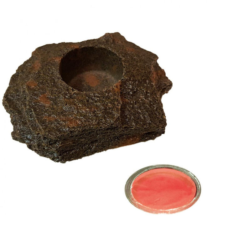 50 x 16 gDragon Jelly Food red strawberry  + Felsenschale Lava