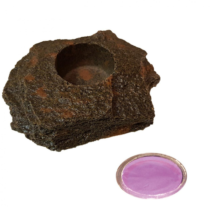 4 x 16 g Dragon Jelly Food violet grape + Felsenschale Lava