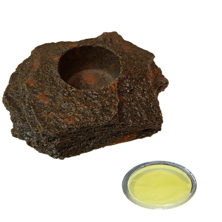20 x 16 Dragon Jelly Food orange pineapple  + Felsenschale Lava