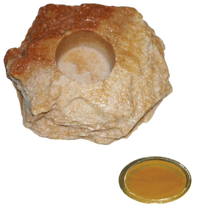 50 x 16 g Dragon Jelly Food brown candy + Felsenschale Sandstein