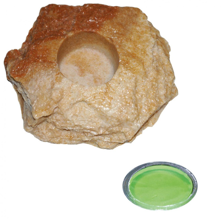 50 x 16 g Dragon Jelly Food green melon + Felsenschale Sandstein