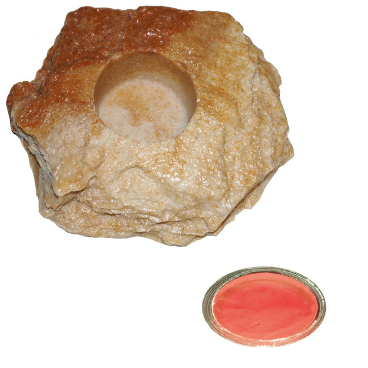 4 x 16 g Dragon Jelly Food red strawberry + Felsenschale Sandstein