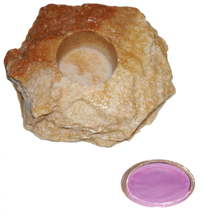 4 x 16 g Dragon Jelly Food violet grape + Felsenschale Sandstein