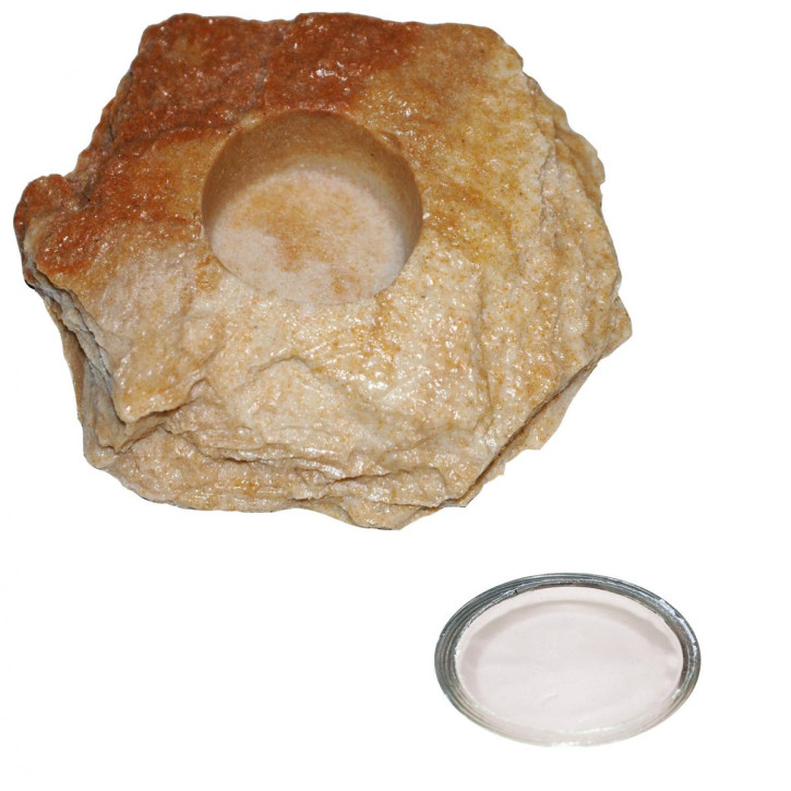 20 x 16 g Dragon Jelly Food white protein + Felsenschale Sandstein