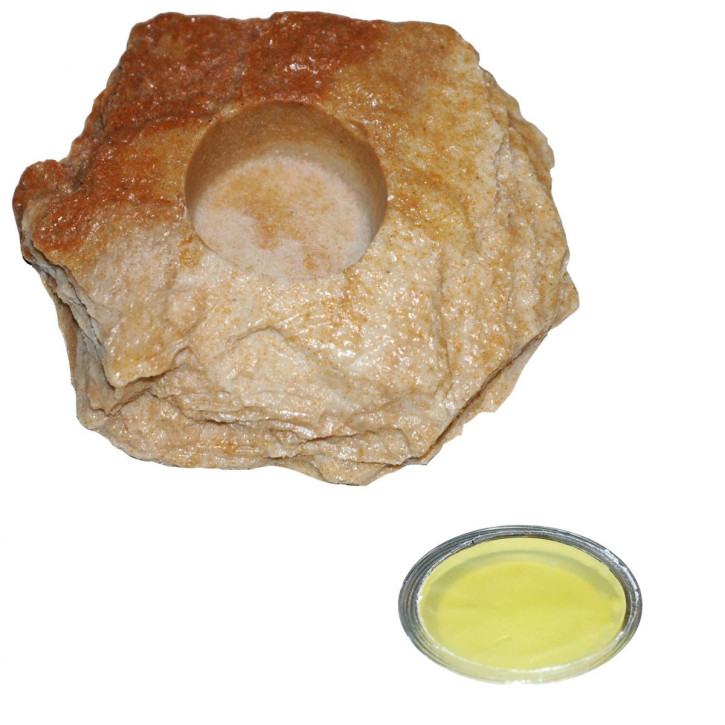 50 x 6 g Dragon Jelly Food yellow banana + Felsenschale Sandstein