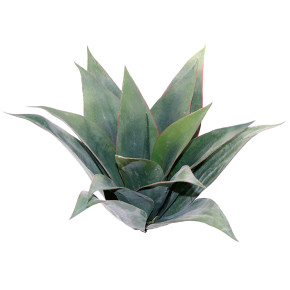 Dragon Agave Large Kunstpflanze  45cm fr Terrarien