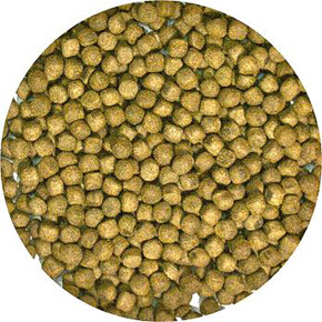 Premium Futter für Wasserschildkröten | Spezialfutter Adult