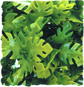 Zoo Med Amazonian Phyllo Kunstpflanze Terrarium