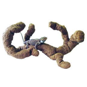Dragon Coco Tronchos – Natürliche Kokosäste fürs Terrarium