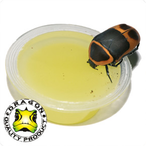 Dragon Jelly Food für Terrarientiere – Vitamin-Gelee