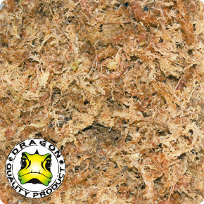 3 x 100 g Dragon Sphagnum Moos: Natürliches Feuchtsubstrat für Terrarien