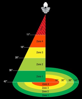 ReptiSun Compact Fluorescent UVB Lamp: Ihr Spezialist für optimale Reptilienbeleuchtung - 65 Watt