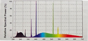 DRAGO-LUX Spiral-UV Desert 13W: UVB Wüstenlampe