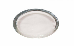 4 x 16 g Dragon Jelly Food white protein + Felsenschale Granite