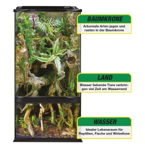 Zoo Med Paludarium Terrarium 30 × 30 × 60 cm – bis zu 15L Wasser