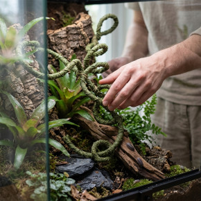 Dragon Liane 150 cm biegsam olivgrün für Terrarien
