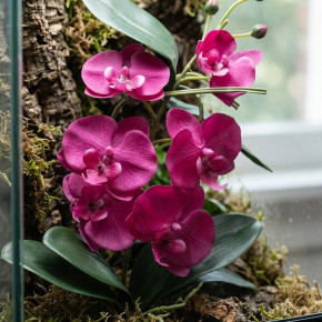 Dragon Orchideenzweig Bordeaux 80 cm – Terrarium Deko