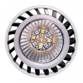 Drago LUX LED UV Spot 5.0 FOREST 8 Watt Reptilienlampe Terrarienlampe
