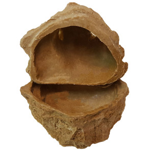 Dragon Repti Shelter ca. 17×14×15 cm – Wet Box & Versteck für Reptilien